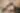 Placeholder blur